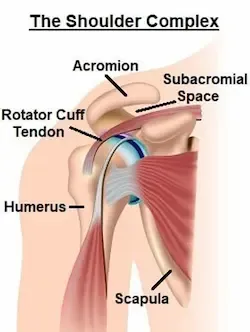 Ko oboleva od impindžmenta ramena, manuelna terapija pravdic